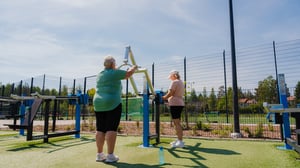 Omnigym_OG80_tricepspress